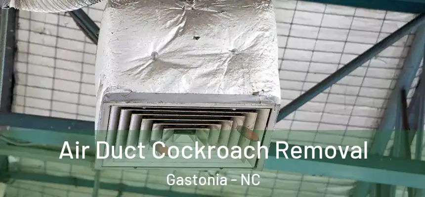  Air Duct Cockroach Removal Gastonia - NC
