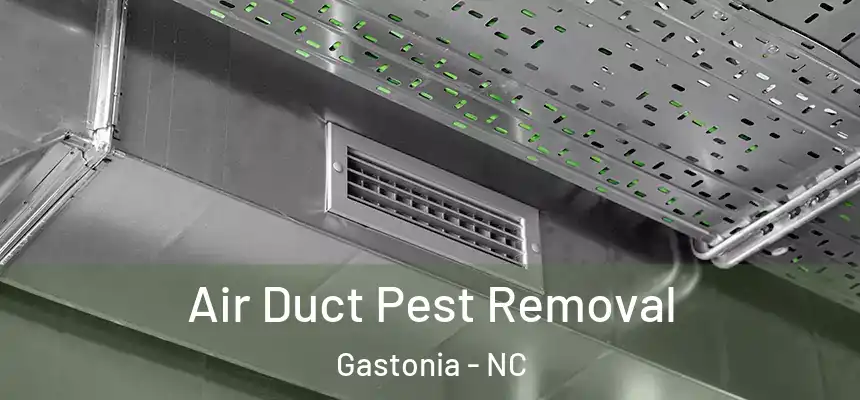  Air Duct Pest Removal Gastonia - NC