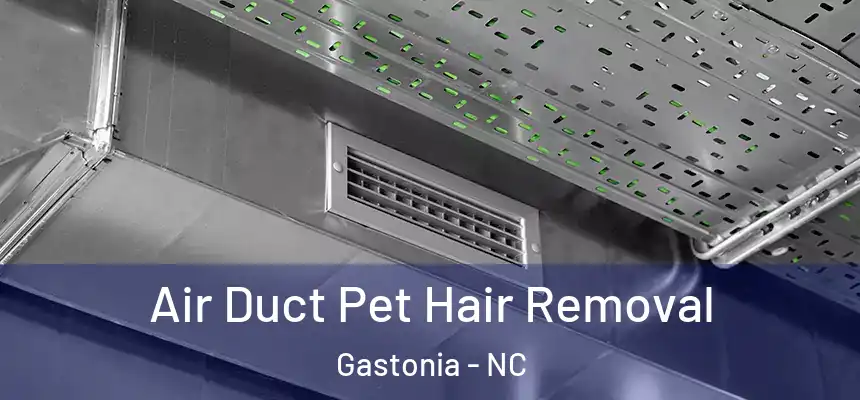  Air Duct Pet Hair Removal Gastonia - NC