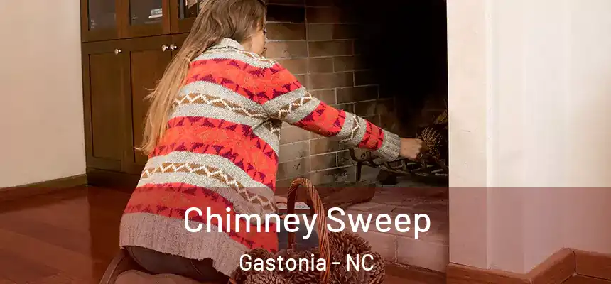  Chimney Sweep Gastonia - NC