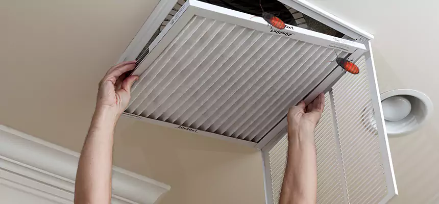 Preventive Cockroach-Proofing for Ducts in Gastonia