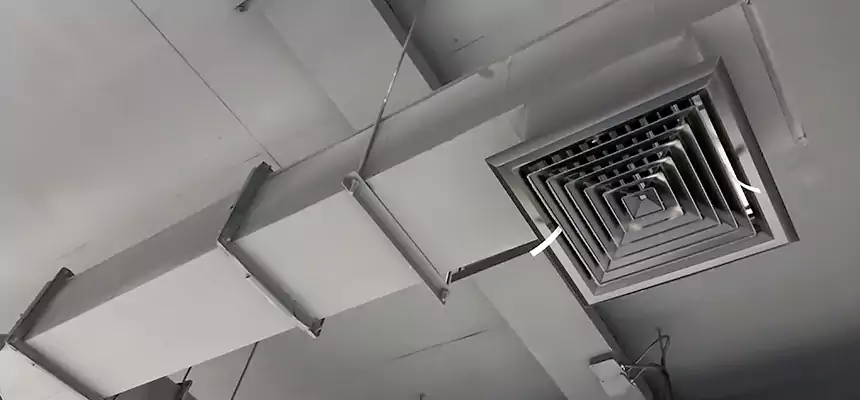 Our Rodent Droppings In Vents Services in Gastonia, NC