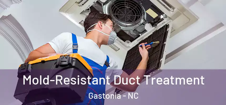  Mold-Resistant Duct Treatment Gastonia - NC