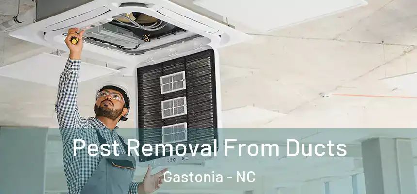  Pest Removal From Ducts Gastonia - NC