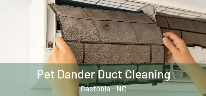  Pet Dander Duct Cleaning Gastonia - NC