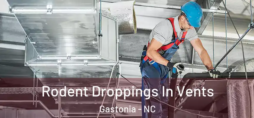 Rodent Droppings In Vents Gastonia - NC