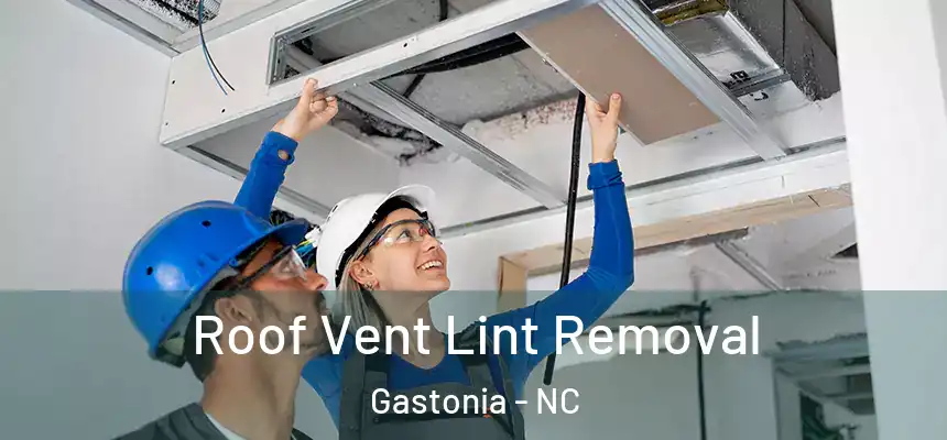  Roof Vent Lint Removal Gastonia - NC