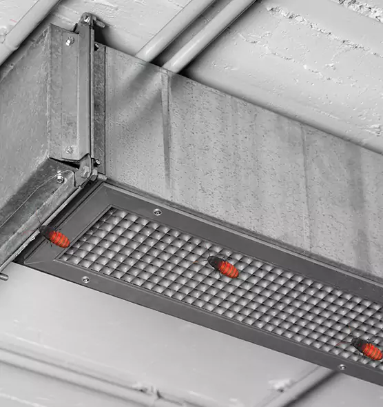 About Air Duct Cockroach Removal in Gastonia, NC