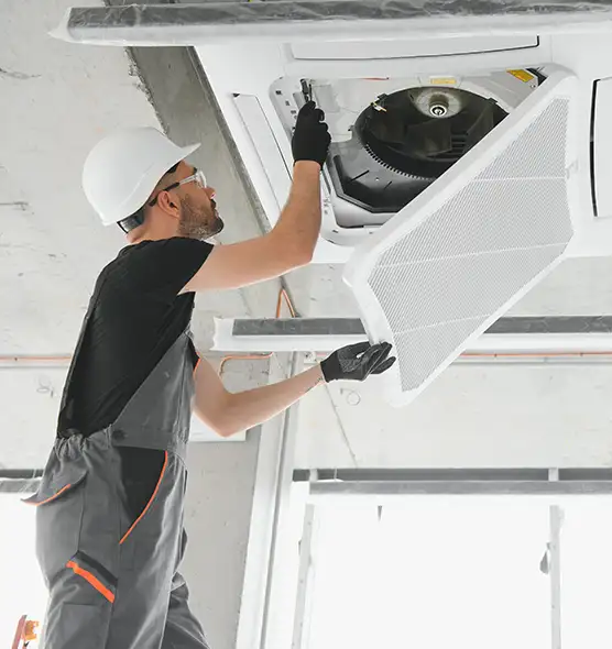 About Air Duct Rodent Removal in Gastonia, NC