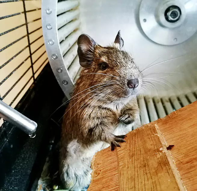 Why Homeowners & Businesses Trust Us Gastonia, NC?